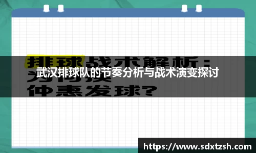 武汉排球队的节奏分析与战术演变探讨